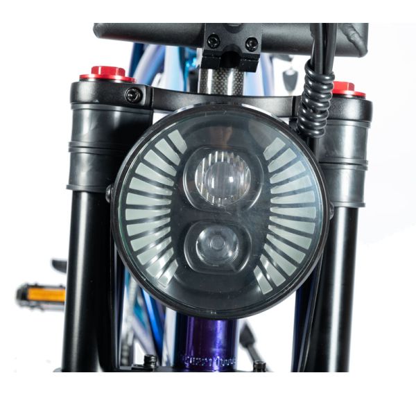 Customized Mountain Electric Bike with Torque 30-50 Nm and 48V Voltage Beach Bikes Cruisers