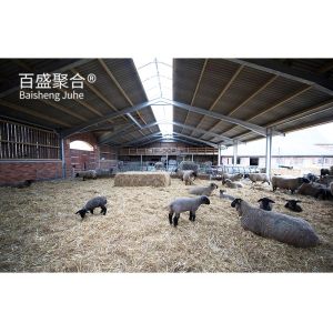 Sandwich Panel/Roofing Steel Sheet Prefab Livestock Barn for Sheep Goat Cattle Cow
