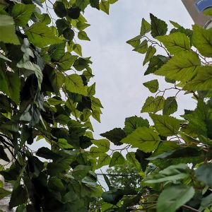 Custom Artificial Landscaping Tree Bonsai Birch Garden Ornaments