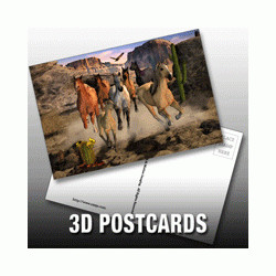 PLASTIC LENTICULAR custom 3d printed business photography cards PP PET