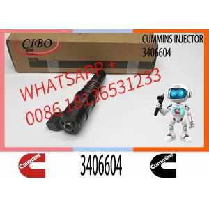 PT Fuel System Diesel Fuel Injector 3406604 For Cummins Construction Engine M11