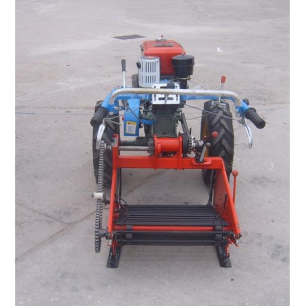 Model 4U harvest of yams