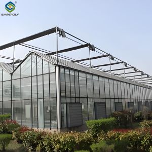 Hydroponic Venlo PC Polycarbonate Solar Glass Greenhouse Customizable
