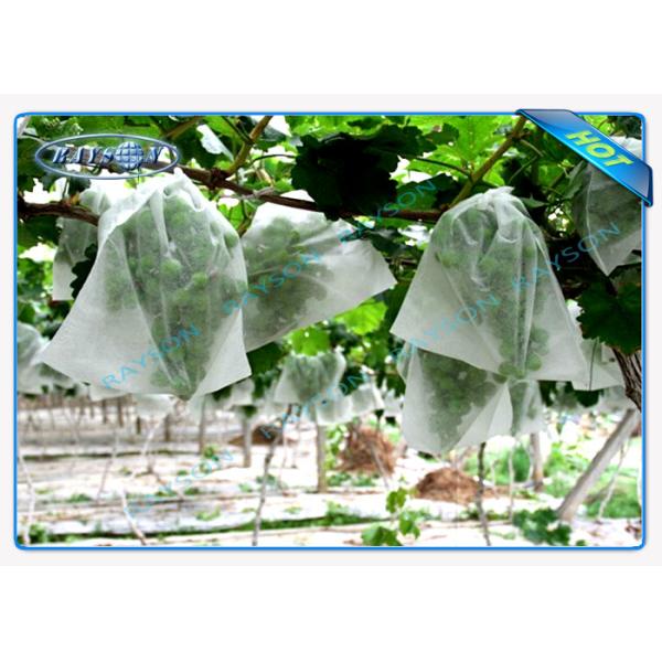 Buy Eco Friendly Anti UV White Non Woven Landscape Fabric for Frost Fleece at wholesale prices