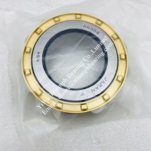 NSK Eccentric Bearing RN309M