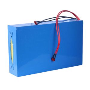 CLF LiFePO4 Lithium Battery Packs Customized 12V 24V 36V 48V 60V Electric
