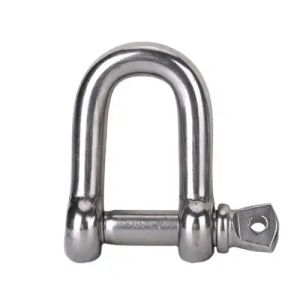 Marine Grade European Type Polished Stainless Steel 304/316 Screw Pin D Shackles