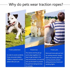 High Tough Retractable Dog Leash Water Resistant High Tensile Strength