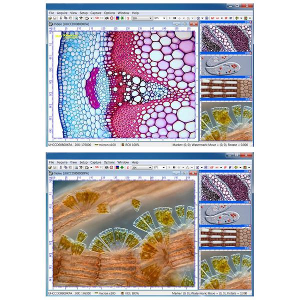 A59.2213 Usb 3.0 Cmos Digital Camera High Fps Fluorescent Image 1.5m-45m