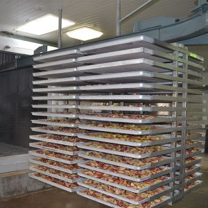 Multifunctional Automatic 500kg Freeze Drying Machine