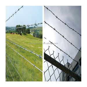 Direct Sale Barbed Wire with Galvanized Steel Wire Razor Type and Single Razor