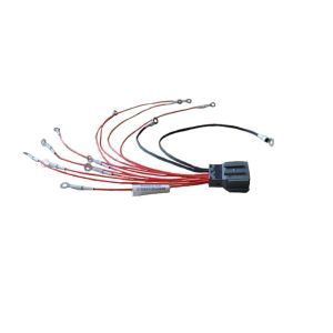 Induction Acquisition System 200mm Auto Wiring Harness
