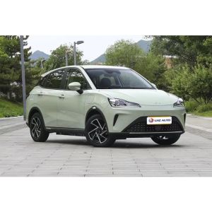 Affordable Energy Vehicle NETA AYA2024 High Speed SUV with Five Doors and Five