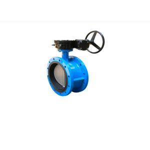 Threaded Electric Actuated Water Treatment DN50 ~DN3000 Butterfly Valve