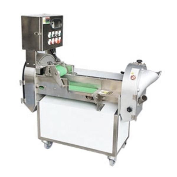 1.55 kw Vegetable Multi Cutting Machine for Efficiently Slicing Different