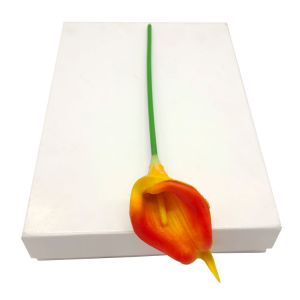 170gsm-400Gsm White Cardboard Paper Sheet / Roll Double Side Coating