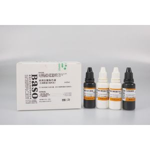 China Pathological Acid Fast Stain Reagents Phenol Free Fuchsin Staining Method on sale