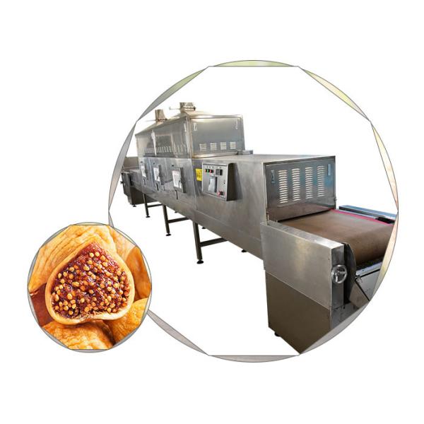 Buy Microwave Food Sterilization Equipment , Fruit And Vegetable Sterilizing Machine at wholesale prices