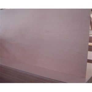 Calophyllum Grains 1220×2440×18mm Red Plywood
