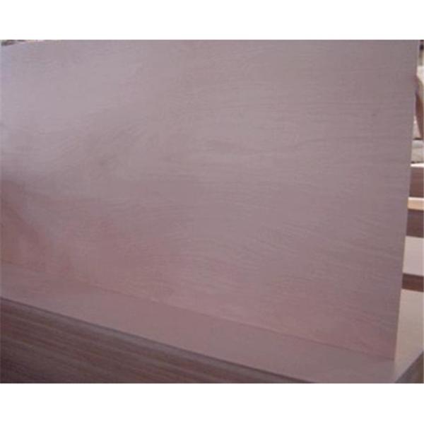 Buy Calophyllum Grains 1220×2440×18mm Red Plywood at wholesale prices