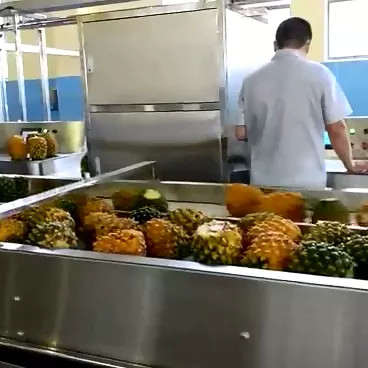 SUS 304/316 Complete Pineapple Processing Line Customized Pineapple Production