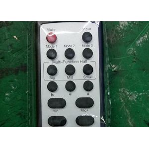 Easy One Piece 250W Digital Karaoke Power Amplifier