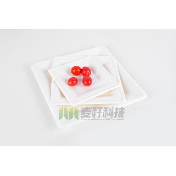 3 parts Round White Dessert Sugarcane Biodegradable sugarcane Disposable Plate