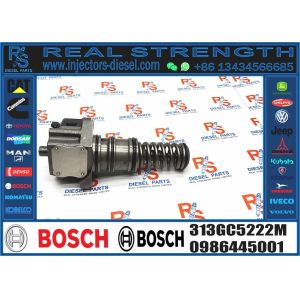 Fuel Injector 10116257 041475503 313GC5222M 313GC5227M 0414755005