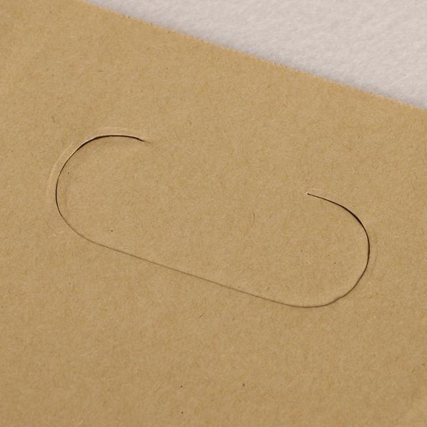 Recyclable Kraft Paper Bags With Handles Offset Printing Simple Design