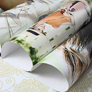 Eco Solvent Self Adhesive Paper Roll Photo Glossy