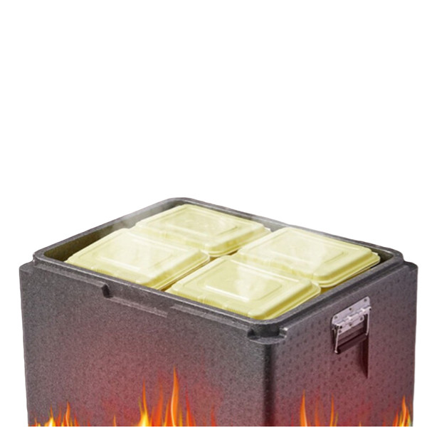 Buy Thickness 25 To 75mm EPP Foam Box Cooler With Slightly Matte Finish at wholesale prices