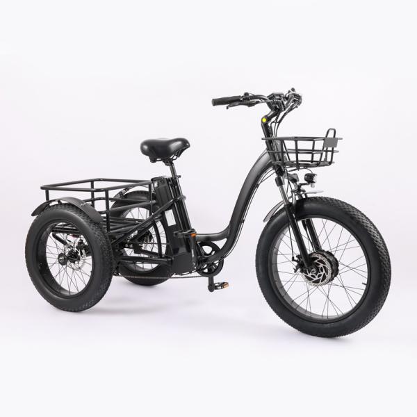 Wholesaler Adults 750w/500W 3 Wheel Electric Cargo Tricycle with Aluminium Alloy Fork