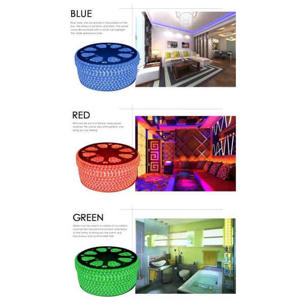 SMD5050 60led/m AC220V Waterproof Flexible LED SMD strip ROPE Light +Plug IP65