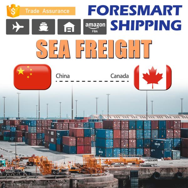 Buy Freight Forwarder FCL Sea Freight From China To Canada at wholesale prices