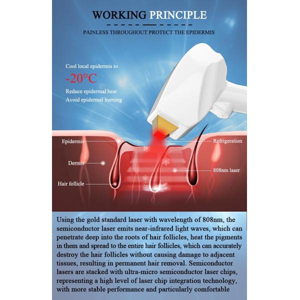 New Arrival 2000W laser price hair removal machine / 808 diode laser hair removal machine LF-648B