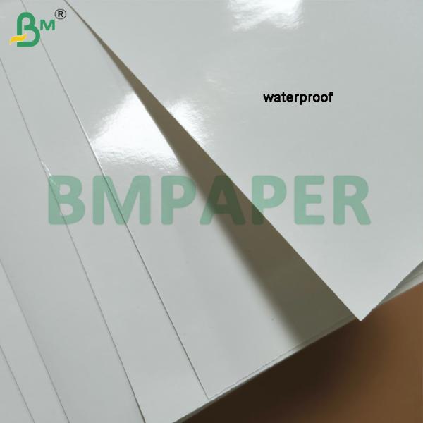 Cold Resistant Paperboard Waterproof Bleached Sea Food Packaging Board Cold Resistant Paperboard Waterproof Bleached Sea Food Packaging Board