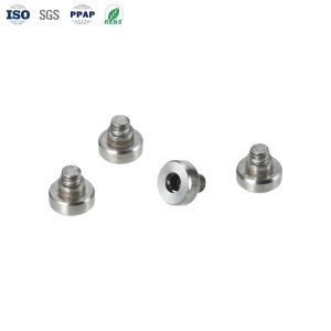 Custom Hex Socket Cheese Head Screws A2-70 Grade 10mm Size