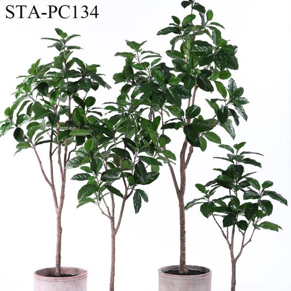 Buy Low - Maintance Artificial Rubber Tree Evergreen Plant Modern Lifestyle at wholesale prices