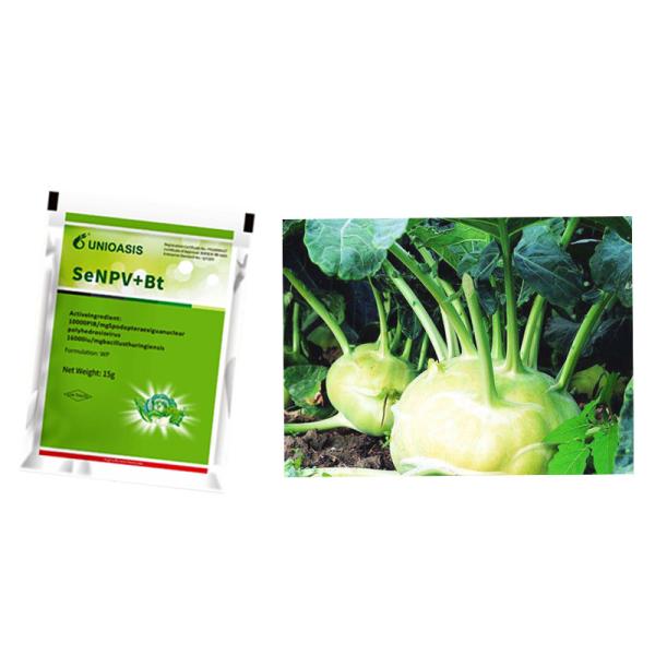 Buy Microbial Insecticide Bio Bacillus Thuringiensis SeNPV Nuclear Polyhedrosis Virus at wholesale prices