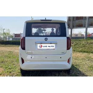 Driver's License-Free 60km/h Electric SUV with Left Steering and Spacious