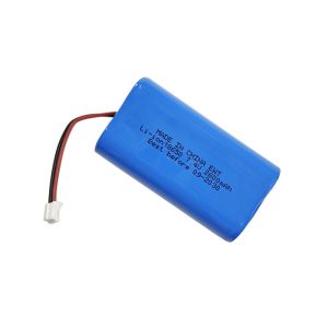 Standard Discharging 1C Lithium Ion Battery Pack Including LED Indicator and Max