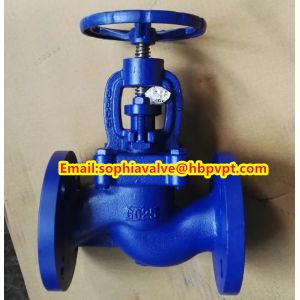 GG25 DIN flange end globe valve