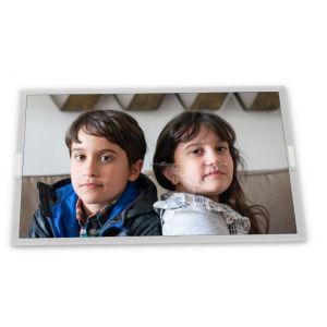 Quality New 6.4-Inch WLED Custom LCD Display Module T-51382D064-FW-P-AB TFT Panel with 640*480 Resolution and LVDS Interface for sale