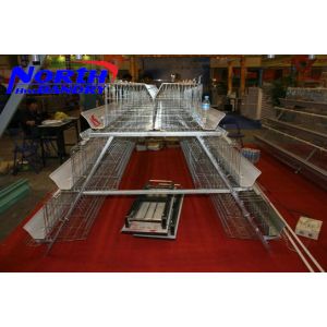 Quality best sale automatic poultry cage/chicken cage for sale