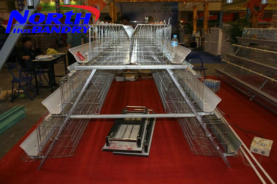 Buy Layer Egg Chicken Cage/Poultry Farm House Design at wholesale prices