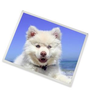 15.6-Inch LCD Modules ATNA56WR14-0 High Quality Screen in Stock with Quality Assurance