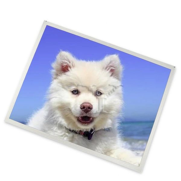 Buy LM238WQ1-S1A1 industrial control lcd module 23.8 inch 2560*1440 lcd screen display at wholesale prices