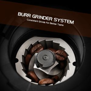 Small Conical Burr Coffee Grinder Adjustable 19 Setting Espresso Commercial