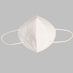 PM2.5 KN95 Dust Mask