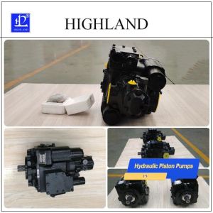 Hydraulic Piston Pumps With Durable Cast Iron Construction Power Source